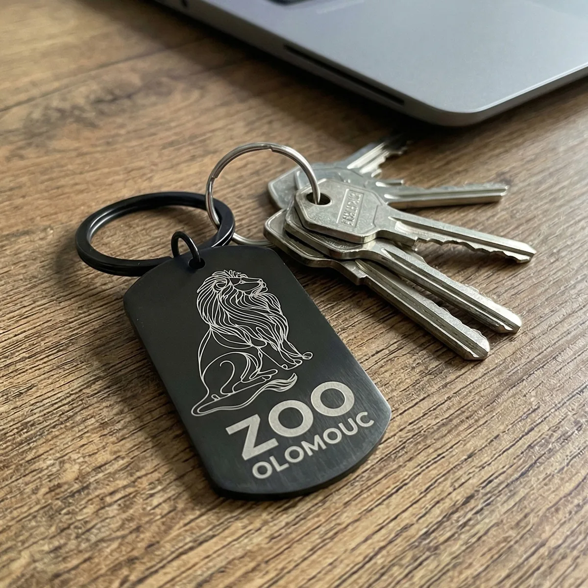 Klíčenka Zoo Olomouc – lev
